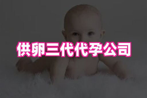 泉州助孕网 2
